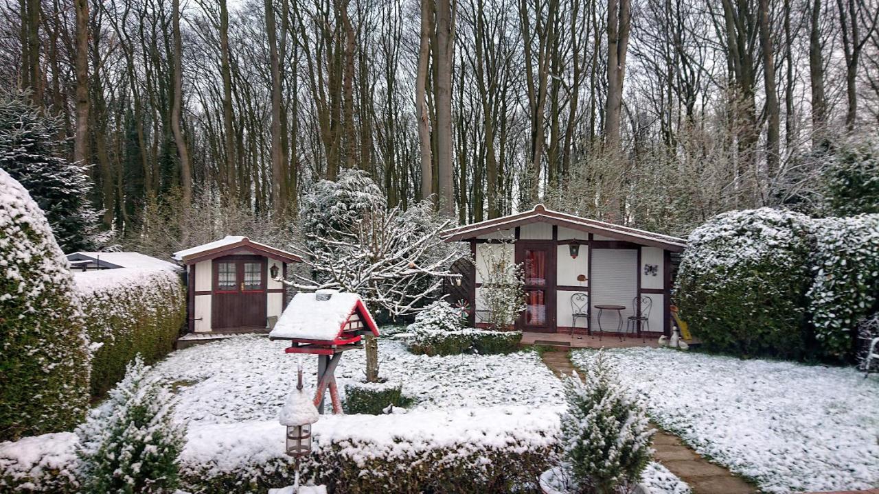 ビラーベック Haus Im Grunenヴィラ エクステリア 写真